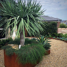 front yard