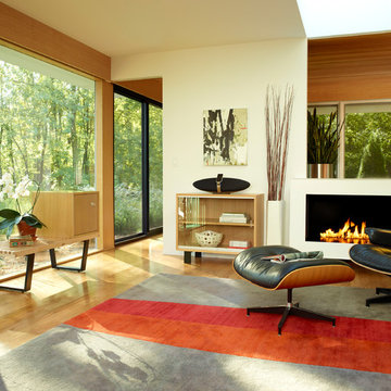 Herman Miller Eames Lounge Chair Living Room