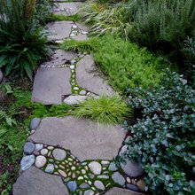 yard ideas
