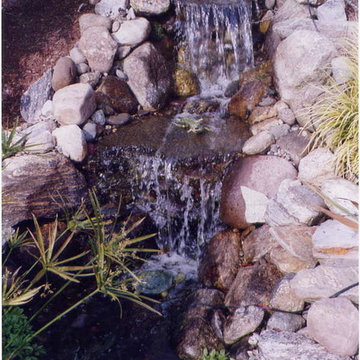 TJB-INC Display Gardens & Ponds - 12 Crestway Hamden