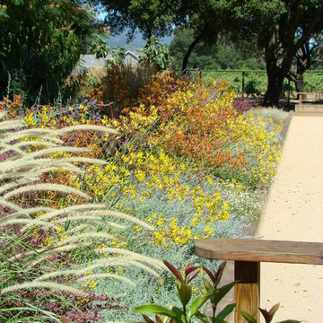 Bocce Ball Courts