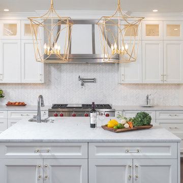 Bryn Mawr Kitchen Addition