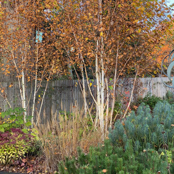 Autumn in Our Hertfordshire Garden Design