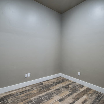 2017 Trails at Regal Park Spec Home