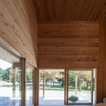 木のカタマリに住む