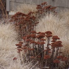 Winter Palette