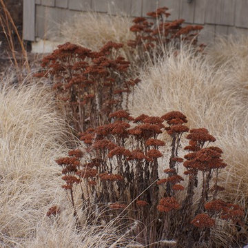 Contemporary Landscape