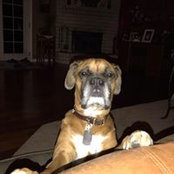 Jennifer Chambers's photo
