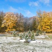 Jeffrey Helgesen's photo