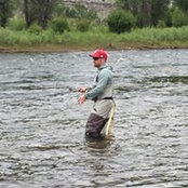David Anderson's photo