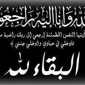 Amr Khashoggi's photo