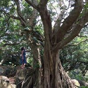 Machiko Takagi's photo