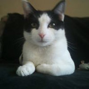 Terry Testa's photo