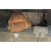 Pietro Morgese's photo