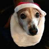 Mark Nelson's photo