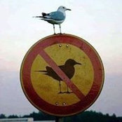 Foto von Brian Bakri