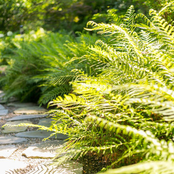 Backyard Koi Pond-James Island