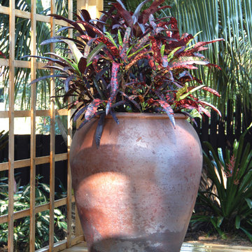 Palm Beach Container Gardens