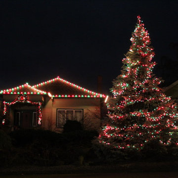 Professional Christmas Light Installation