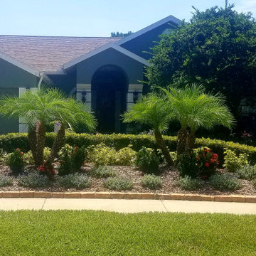 Our Work