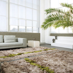 Limited Edtion - Area Rugs