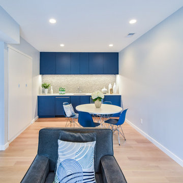 Modern Basement Makeover, Gladwyne PA