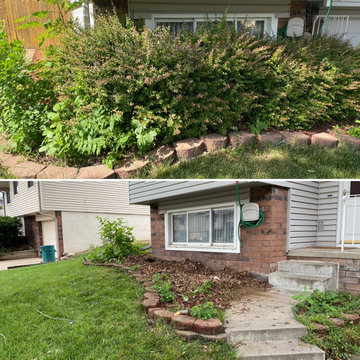 Bush Removal