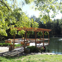 Lake Dock