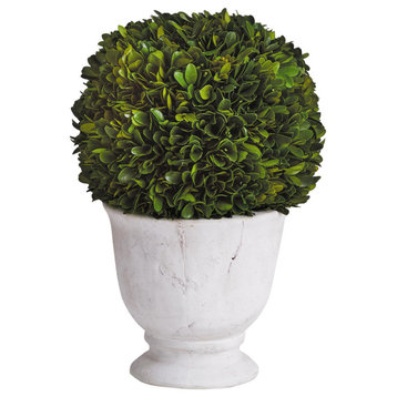 Elegant 12in Ball Sphere Topiary in Pot Preserved Boxwood Greenery English
