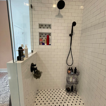 CHARLOTTESVILLE FULL HOUSE REMODEL