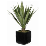 House of Silk Flowers, Inc - Artificial Baby Yucca in Black Cube Vase - You will never have to worry about caring for your succulents again. This arrangement contains an artificial baby yucca "potted" in a black glazed ceramic pot (5" cube). The overall dimensions are measured tip to tip, bottom of planter to tallest tip: 18" tall x 10" diameter. All measurements are approximate and will be determined by your final shaping of the item upon unpacking it. No arranging is necessary, only minor shaping, with the way in which we pack and ship our products. This is only intended for indoor use.