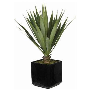 Artificial Baby Yucca in Black Cube Vase