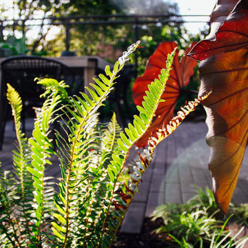 Tropical Duplex Courtyard