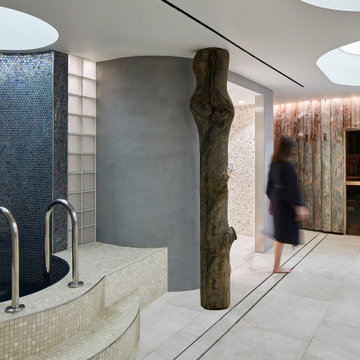 Cold-plunge pool and relaxation suite