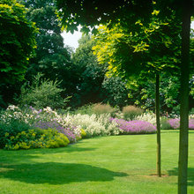 Ext - Front Yard