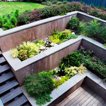 front yard landscape