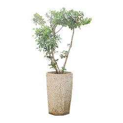 In house decor artifacts - Products