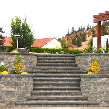 Featured Projects