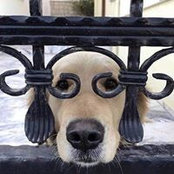 Heather Hallam's photo