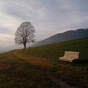 Elena Pezzini's photo