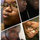 Brenda Mcgee