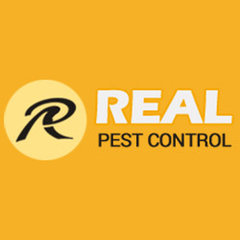 Real Spider Control Adelaide