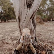 Craig Versluis's photo