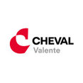 Photo de profil de Valente travaux paysagers