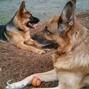 Denise Saunders's photo