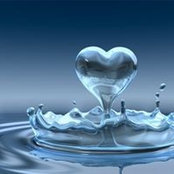 Tricia Geiger's photo