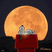Foto von Cindy Rowden