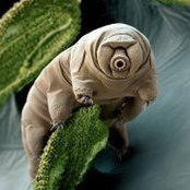 Charles Breaker's photo