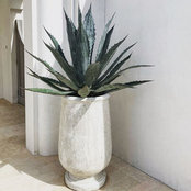 Patrick Sultana's photo
