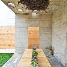 Patio Ideas